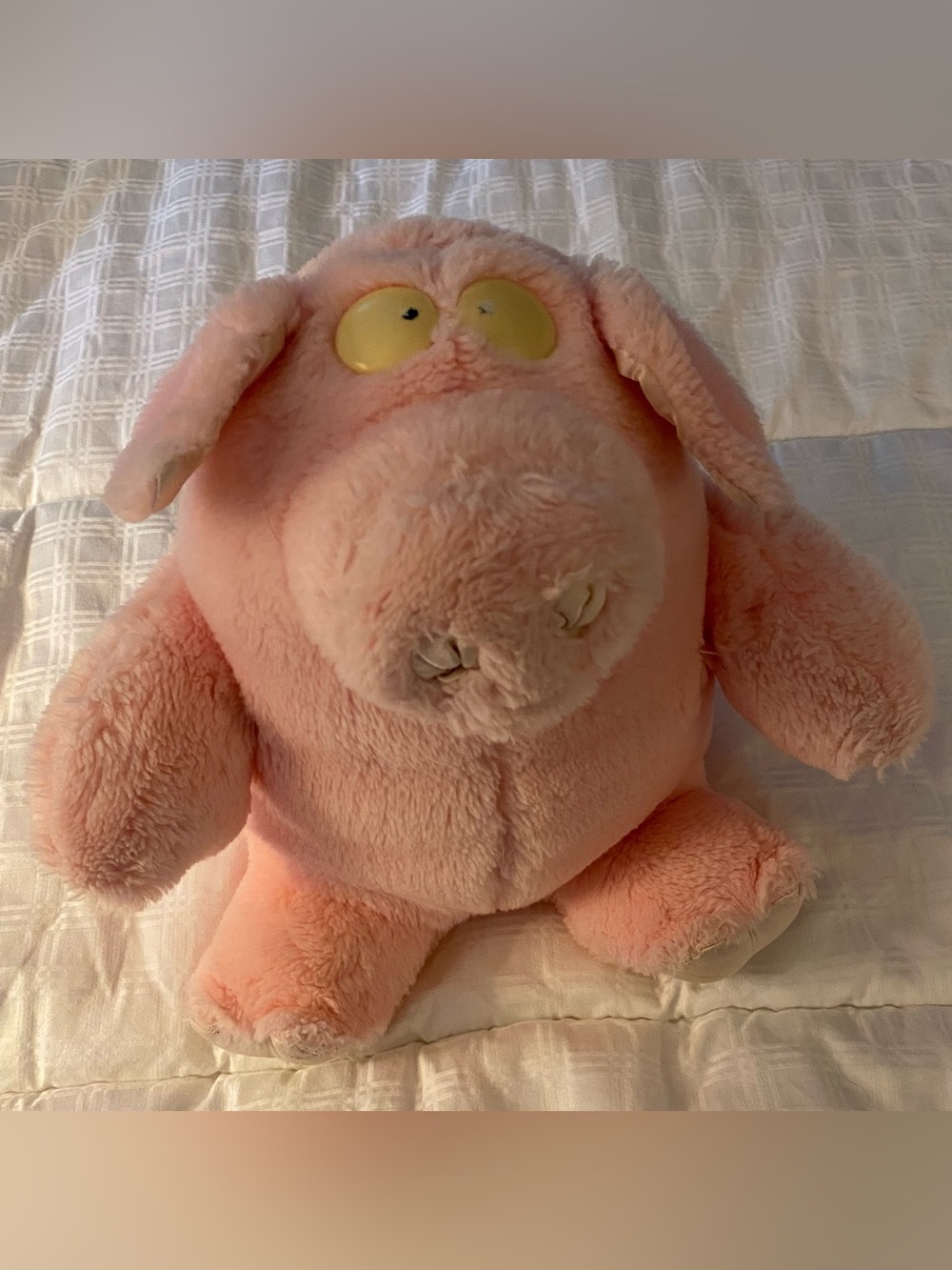 Sandra Boynton Plush Pig Albert Einswein RARE VTG 1985 Stuffed Animal Pink 80s